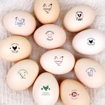 Personalisierter Eier-Stempel mit Blütenblättern Hühner-Silhouette Text lebensmittelechter Tinte Bauernhof Geburtstag Geschenk für Familie Landwirte