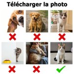 Set de pyjama à manches longues personnalisé avec nom et photo d'animal - Cadeau d'anniversaire pour les propriétaires d'animaux de compagnie