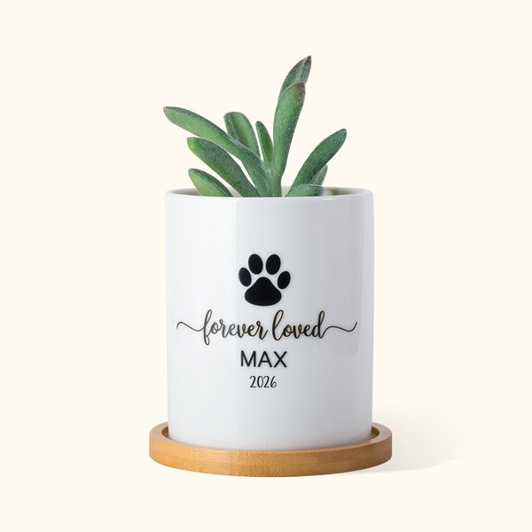 Personalized Pet Paw Memorial Ceramic Plant Pot with Wooden Base Pet Loss Sympathy Gift for Pet Lover