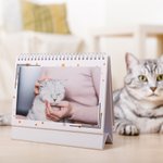 Personalizado Mascota Familiar 12 Fotos 2026 Calendario con Nombre Aniversario Cumpleaños Conmemorativo Regalo para Dueño de Mascota Familiar