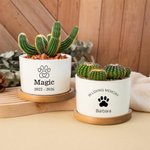 Personalised Pet Paw Name Ceramic Succulent Planter Pot with Drainage Hole and Bamboo Base Home Decor Pet Loss Sympathy Gift for Cat Dog Owner Lover
