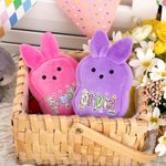Personlig Macaron Color Cute Bunny Plysj Myntpung lommebok med navn og håndleddsstropp Påskekurv Stuffers Påskefest Favor Gave til barn