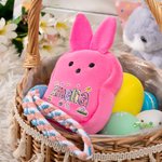 Personlig Macaron Color Cute Bunny Plysj Myntpung lommebok med navn og håndleddsstropp Påskekurv Stuffers Påskefest Favor Gave til barn