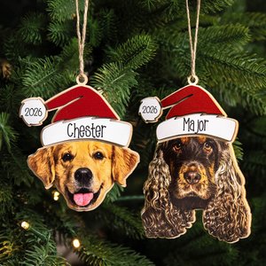 Gorro de Papá Noel Personalizado Perro Gato Mascota Cara Foto Adorno Navideño de Madera con Nombre Decoración Navideña para el Hogar Regalo para los Amantes de las Mascotas