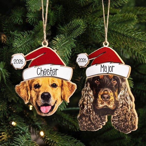 Chapeau de Père Noël Personnalisé Chien Chat Photo Visage Ornement de Noël en bois avec nom Cadeau de décoration d'intérieur de Noël pour les amoureux des animaux de compagnie
