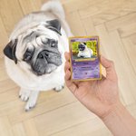 Tarjeta TCG personalizada con foto funda protectora juego de cartas coleccionables regalo para parejas niños y amantes de los animales