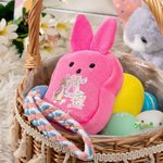 Personalized Mini Cute Peter Rabbit Flower Butterfly Initial Plush Wallet Coin Handbag with Name Easter Birthday Gift for Kids