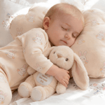 Personalized Flower Peter Rabbit Cute Bunny Plush Stuffed Animal Toy with Name and Initial First Easter Holiday Gift for Kids