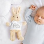 Lapin en Peluche à T-shirt Personnalisé avec Nom et Année Thème 1st Easter Cadeau Anniversaire Pâques pour Bébé Nouveau-né