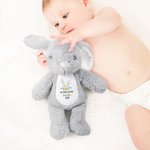 Personalised My First Easter Plush Bunny with Name and Year Easter Gift for Kid