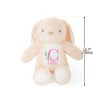 Personalised Cute Peter Rabbit Plush Easter Bunny Stuffed Toy with Initial and Name Easter Gift for Newborns Kids