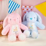 Personalised My First Easter Bunny Butterfly Stuffed Plush Bunny Toy with Name and Year Easter Birthday Gift for Kids