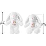 Personalisierte erste Ostereier Peter Rabbit niedlichen Plüsch Plüschtier Spielzeug mit Namen und Jahr erste Ostergeschenk für Kinder