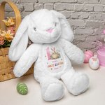 Personalisierte erste Ostereier Peter Rabbit niedlichen Plüsch Plüschtier Spielzeug mit Namen und Jahr erste Ostergeschenk für Kinder