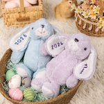 Personalised Bunny Stuffed Plush Toy with Glitter Name Easter Birthday Gift for Children