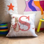 Personalised Multicolor Peter Rabbit Bunny Cushion Cover with Name Nursery Decor Baby Shower Birthday Gift for Baby Kid