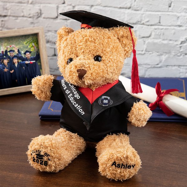 Gepersonaliseerde schattige Bachelor Cap Pluche Teddybeer knuffel met naam en school badge klasse van 2026 afstuderen Gift voor kinderen afgestudeerden