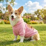 Personlig hundtröja med roligt ansiktsfoto och namn för utomhusbruk Födelsedagspresent för husdjursälskare Husdjursägare