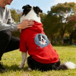 Personlig hundtröja med roligt ansiktsfoto och namn för utomhusbruk Födelsedagspresent för husdjursälskare Husdjursägare