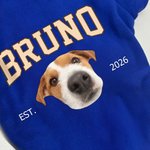 Personlig Funny Face Photo Soft Dog Hoodie med navn og år Pet Supplies Dog Bursdagsgave til hundeeiere elskere