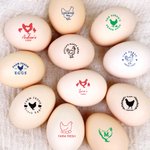 Silueta de gallina personalizada Sello para huevos con nombre Tinta alimentaria y caja de madera Regalo de cumpleaños Pascua para familia Granjero Criador