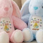 Personalized Bible Verse Cute Chick Bunny Easter Bunny Stuffed Toy with Name Easter Egg Hunt Gift for Kids Boys Girls
