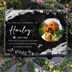 Personalizado Pet Memorial Foto Piedra Jardín con Nombre y Año Patio Decoración Pet Keepsake Regalo para los dueños de mascotas amantes del jardín