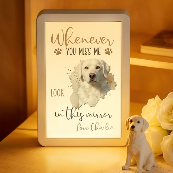 Personalised Whenever You Miss Me Look in This LED Photo Frame Mirror with Name Memorial Sympathy Gift for Pet Owners