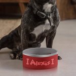 Personalised Food-grade Stainless Steel 32oz Engraved Dog Bowl Water Dish with Name Non-slip Pet Feeding Supplies Gift for Pet Lovers