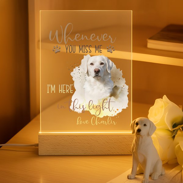 Luce notturna LED acrilica con nome e base in legno personalizzata con foto ad acquerello dell'animale domestico Regalo di simpatia per il proprietario dell'animale domestico