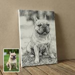 Personalizado Sketch Style Pet Portrait Photo Canvas Painting with Name Home Decor Pet Memorial Gift for Pet Lovers Owners