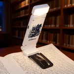 Personalisierte Vintage Buch Floral Dragon LED wiederaufladbare Licht Clip mit Namen Lesen Zubehör täglichen Gebrauch Geburtstag Geschenk für Drachen Buchliebhaber