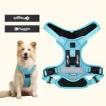 Personalised Heart Bone Fish Signage Pet Chest Harness with Name Outdoor Activities Birthday Gift for Pet Owners
