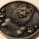 Spersonalizowana kość z odciskiem łapy 3D Zdjęcie zwierzaka Moneta pamiątkowa w stylu retro z imieniem i przezroczystym etui do przechowywania Pamiątka dla zwierzaka Prezent dla właściciela zwierzaka 
