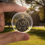 Spersonalizowana kość z odciskiem łapy 3D Zdjęcie zwierzaka Moneta pamiątkowa w stylu retro z imieniem i przezroczystym etui do przechowywania Pamiątka dla zwierzaka Prezent dla właściciela zwierzaka 
