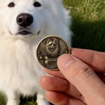 Spersonalizowana kość z odciskiem łapy 3D Zdjęcie zwierzaka Moneta pamiątkowa w stylu retro z imieniem i przezroczystym etui do przechowywania Pamiątka dla zwierzaka Prezent dla właściciela zwierzaka 