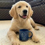 Personalized Line Art Photo Portrait 12 oz Ceramic Coffee Mug with Handle and Name Home Office Drinkware Pet Memorial Gift for Pet Lover