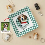 Henkilökohtainen öljymaalaus Style Pet Photo Checkered Square Keraaminen korut lautasen nimi Pet Memorial Day lahja lemmikkieläinten omistajille ystäville