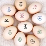 Personalisierter Stempel für Ostereier mit Osterhasen-Motiv und Wunschtext inklusive Tinte optional mit Holzbox Ostern Geschenk für Familie und Kinder