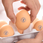 Personalised Rabbit Silhouette Egg Safe Egg Stamp Carton Stamp with Food Grade Ink Name and Text Easter Birthday Gift for Family Farmer