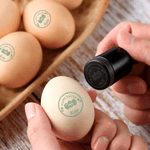 Personalised Rabbit Silhouette Egg Safe Egg Stamp Carton Stamp with Food Grade Ink Name and Text Easter Birthday Gift for Family Farmer