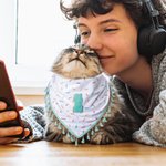 Personalized Tassel Trim Pet Bandana with Initial or Number Dog Cat Daily Accessory Gotcha Day Birthday Gift for Pet Owners Lovers