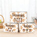 Personlig 1-8 Highland Cows Biscuit Tin Oppbevaringsboks med navn og tittel Daglig bruk Bursdag morsdagsgave til mamma bestemor