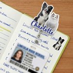 Personalizada Foto Diseño Retráctil Acrílico ID Card Badge Reel con Nombre Apreciación Cumpleaños Regalo para Enfermera Doctor Personal Médico