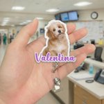 Personalizada Foto Diseño Retráctil Acrílico ID Card Badge Reel con Nombre Apreciación Cumpleaños Regalo para Enfermera Doctor Personal Médico