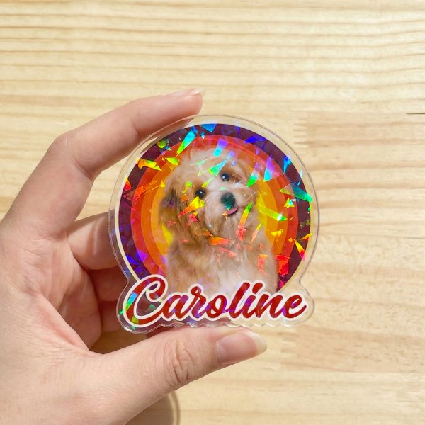 Personalised Cute Pet Photo Acrylic Phone Grip with Expanding Kickstand and Name Daily Use Birthday Gift for Pet Lovers
