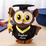 Gepersonaliseerde schattige uil-knuffel met afstudeerhoed en toga tekst en jaartal afstudeercadeau voor afgestudeerden klasgenoten