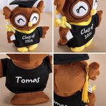 Personalised Cute Grad Cap and Bachelor's Gown Owl Plush Toy with Text and Year Souvenir Graduation Ceremony Gift for Graduates Classmates