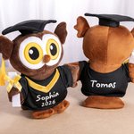 Gepersonaliseerde schattige uil-knuffel met afstudeerhoed en toga tekst en jaartal afstudeercadeau voor afgestudeerden klasgenoten