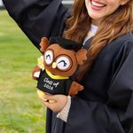 Personalised Cute Grad Cap and Bachelor's Gown Owl Plush Toy with Text and Year Souvenir Graduation Ceremony Gift for Graduates Classmates